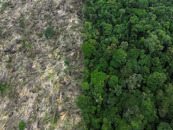 Brazil Amazon Deforestation Drops Six Year Low ThePrint ANIFeed