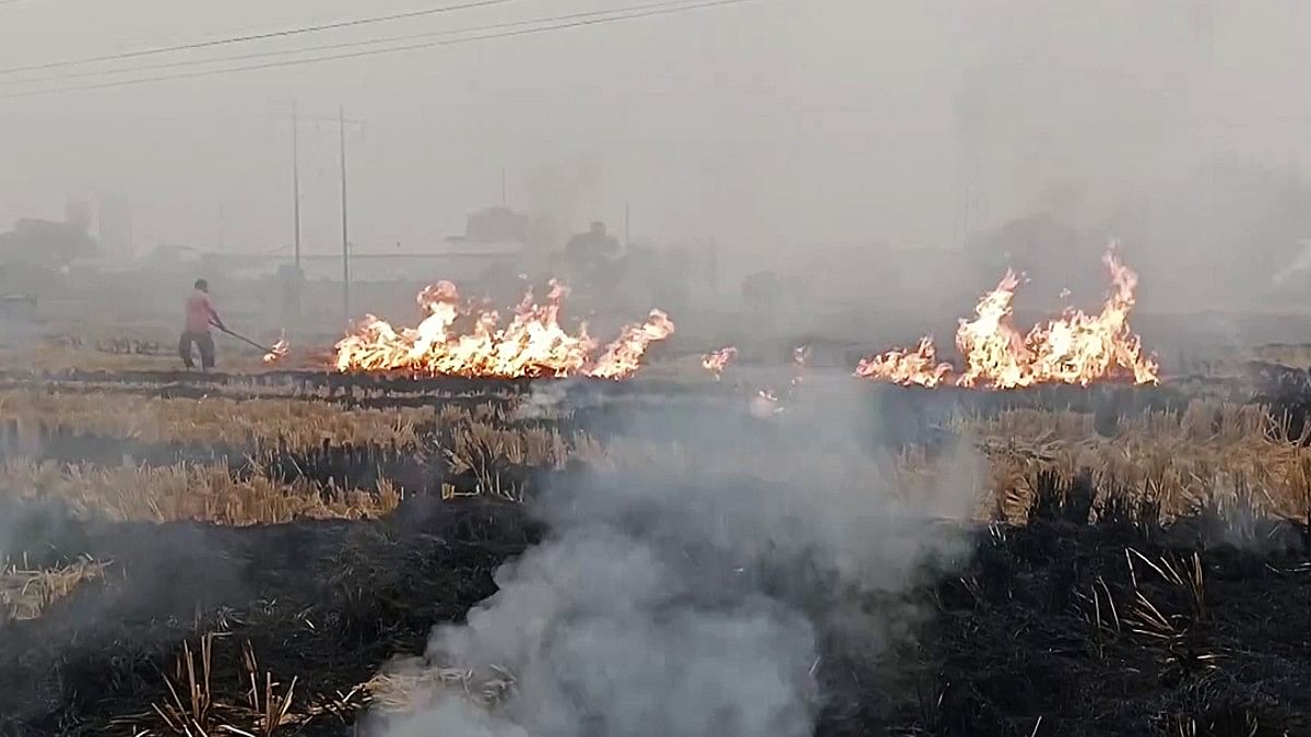 Farmers Outwitting Satellite Detection Images Show Stubble Burning