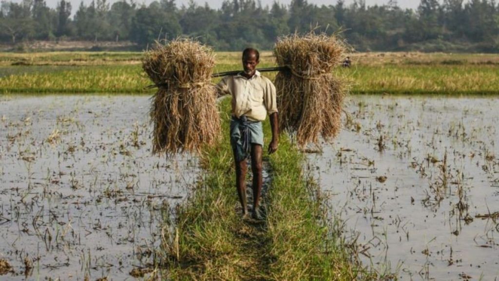 Farmer in a field | Prashanth Vishwanathan | Bloomberg