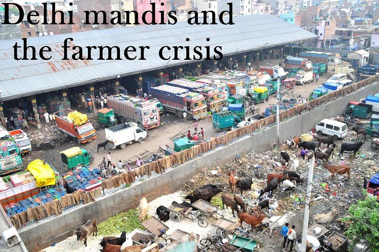 A visit to Delhi’s Azadpur mandi shows why farm crisis is alive & kicking