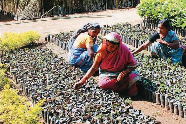 MGNREGA audit: Low wage rate & delayed payments among the biggest problems