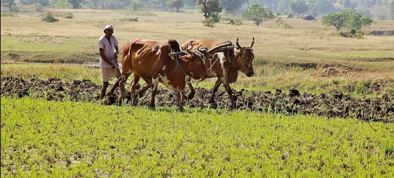Loan waivers don’t help, we need to make farmers self-reliant: RSS