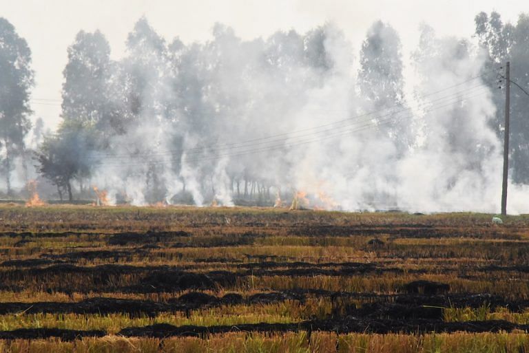 Band-Aids on stubble burning pollution won’t do. India must tackle it as food security issue