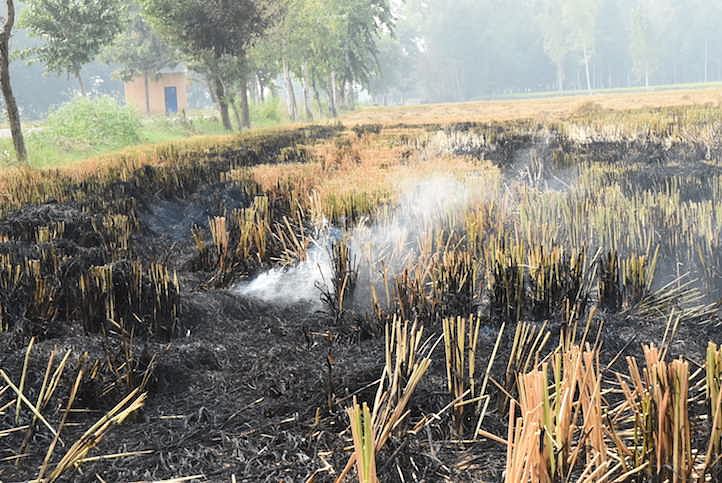The Punjab government has come up with multiple incentives to stop farmers from burning stubble, but there are few takers from them.