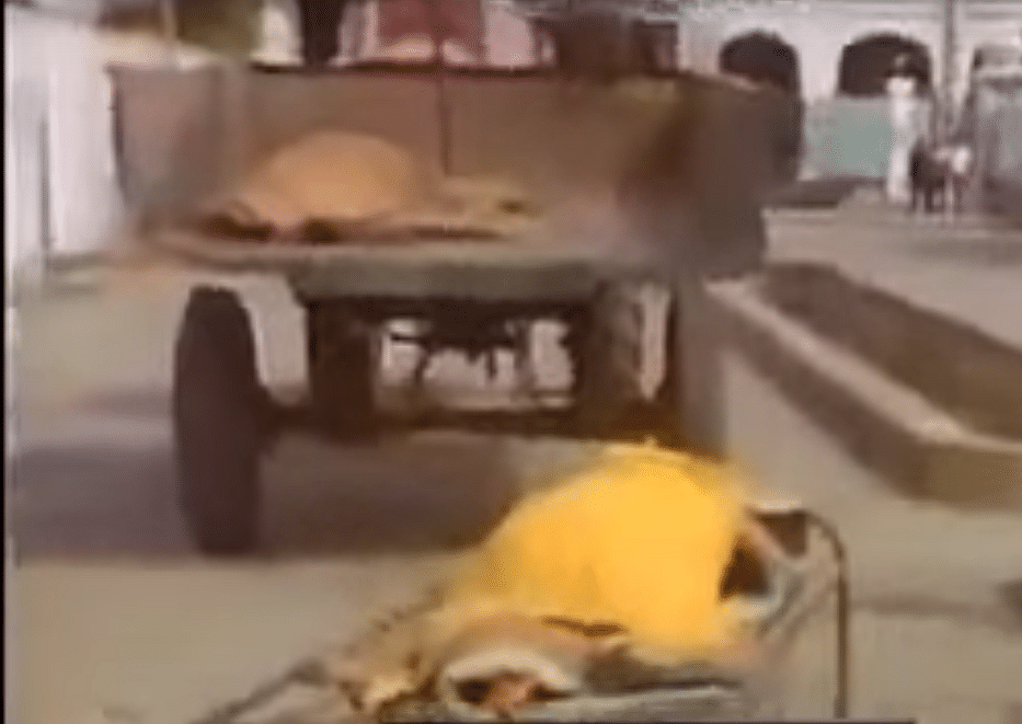 A screengrab of a body of a person killed in Operation Blue Star