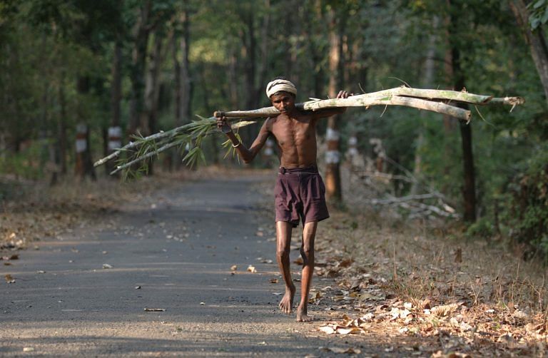 Everyone’s cheering bamboo’s no longer a tree in India, except in the northeast