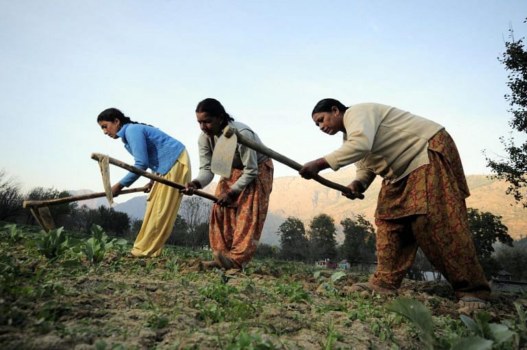 Agriculture goes downhill in Himachal, its share in state’s economy drops to just 8.8%