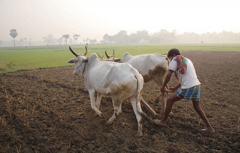 What the finance minister can do in Budget 2018 if he wants to raise farmers’ incomes