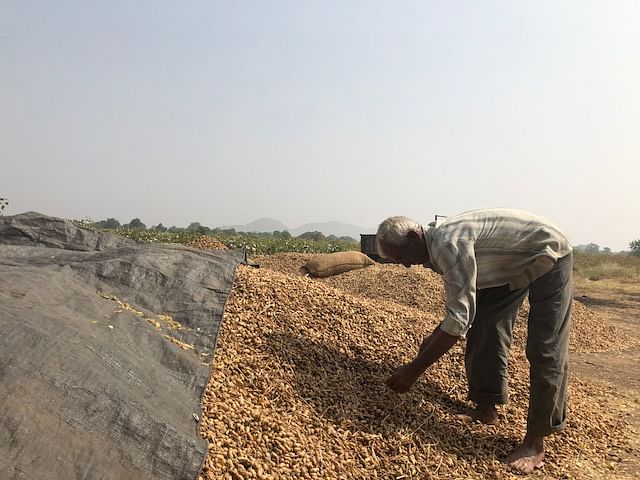 A groundnut farmer with his produce