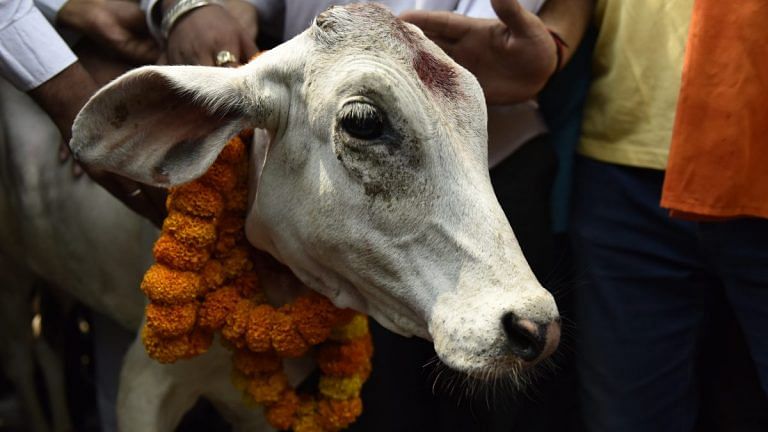 इन नाजुक भावनाओं, जो हर बात पर आहत हो जाती हैं, का क्या करें?