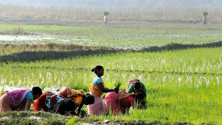Beyond MSPs & loan waivers, Modi govt must make agricultural market reforms its top priority
