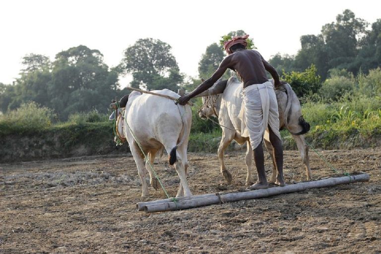 Economic Survey echoes Nobel laureate Joseph Stiglitz’s concerns for India’s farm sector