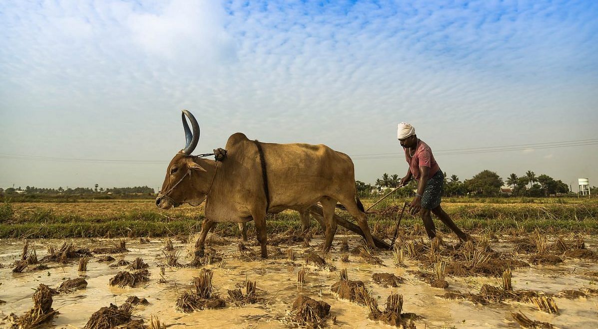Modi government has a new slogan ahead of 2019: Farmer's India