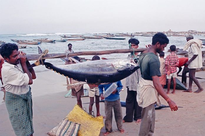 Fishermen at Visakhapatnam beach