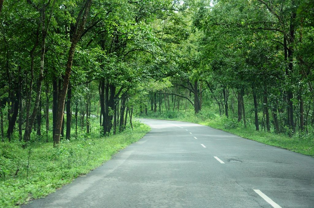 Bandhirpur forest road