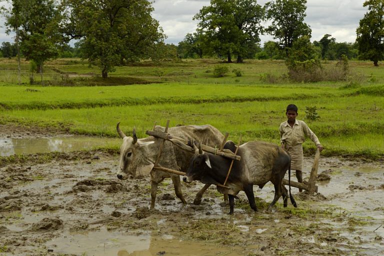 Ensuring that only farmers benefit from higher MSP will be a challenge