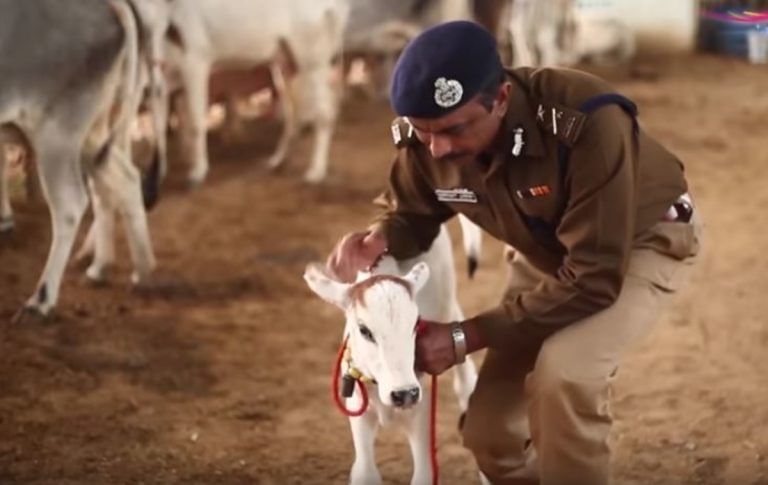 The new saviour of Haryana’s cows: Same top cop who ‘failed’ to check Jat fires in Rohtak
