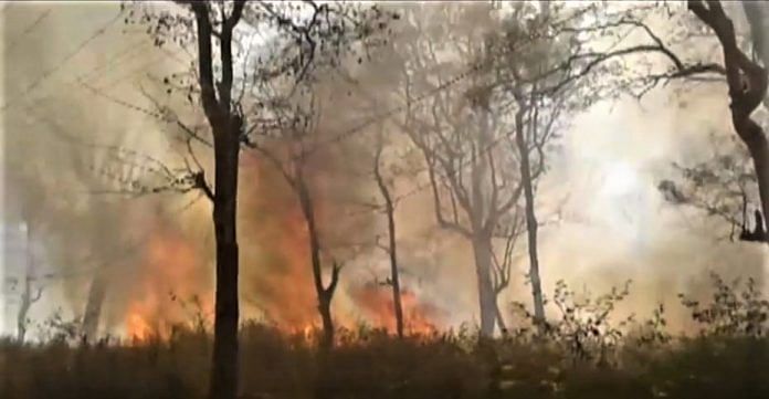 A forest fire in Kodagu district of Karnataka