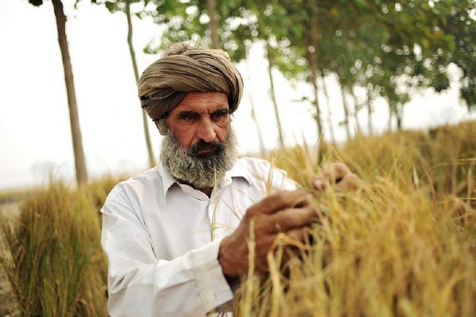 Representational image of an Indian farmer at work