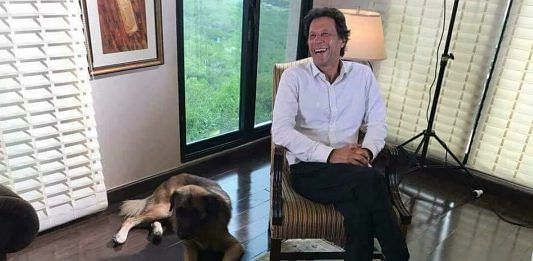 Imran Khan with 'Motu'