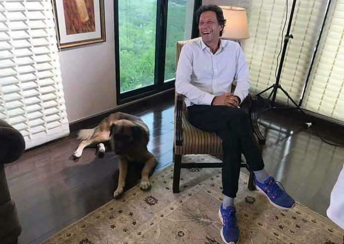 Imran Khan with 'Motu'