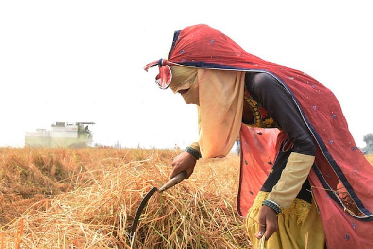 Ensuring higher MSP to farmers in an election year. What are the government’s options?