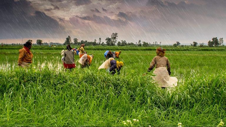 Agriculture Income In India Is Not Taxable For