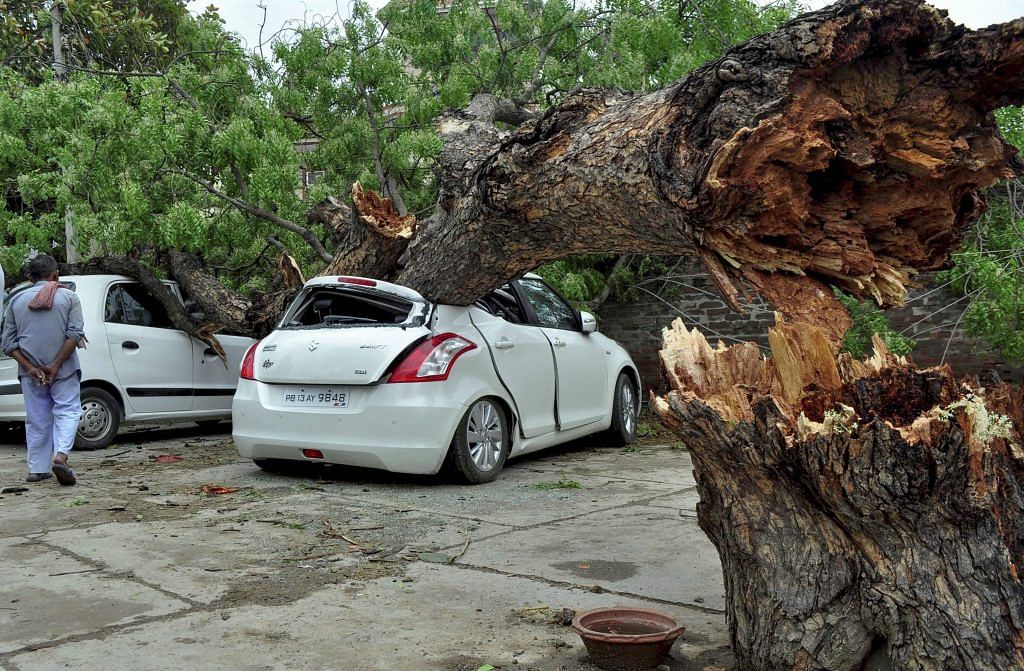 Damaged car as tree falls due to storm