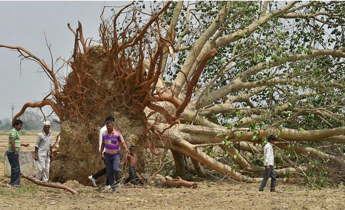 Massive storm at Cheet village in Agra district on Friday