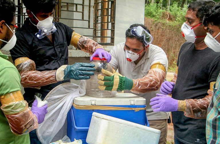 Nipah virus patient stable, fever subsiding, says Kerala health minister