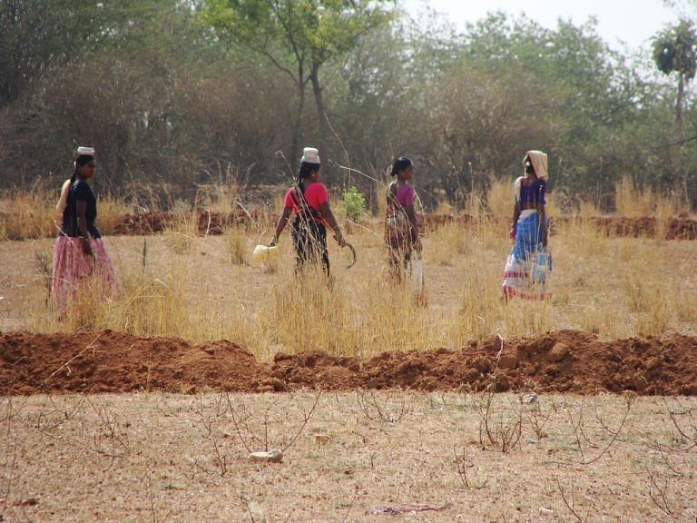Rural India has earned significantly less since the year Modi came to power, says report