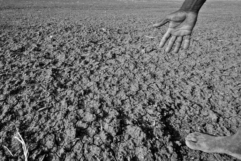 Leaders go mutt-hopping to woo voters while drought-hit central Karnataka awaits water