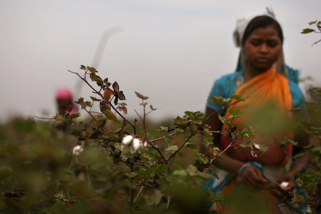 A worker farmer in Vidarbha, Maharashtra | Uriel Sinai/Getty Images