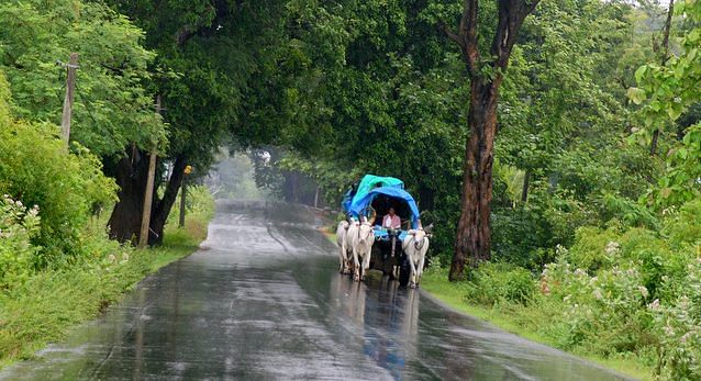 Monsoon in south India | Commons