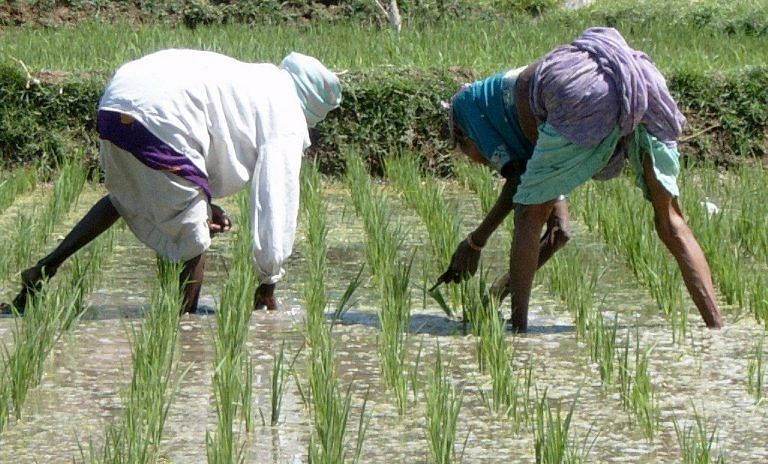 Changing land use is making this eastern state in India hotter