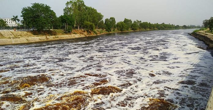 Beas water at Harike Barrage | Punjab Forest Department