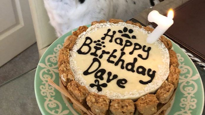A birthday cake for Dave, a seven year old dog owned by Andrew Scott | Bloomberg