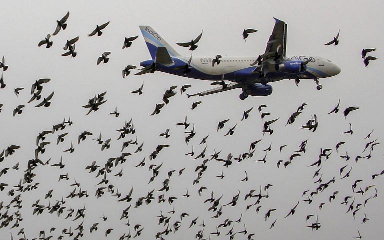 Pakistan will decide on 15 May to reopen airspace for Indian flights
