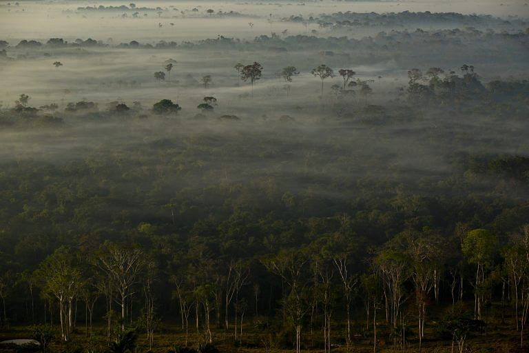 Want to save the planet? Take carbon out of the air