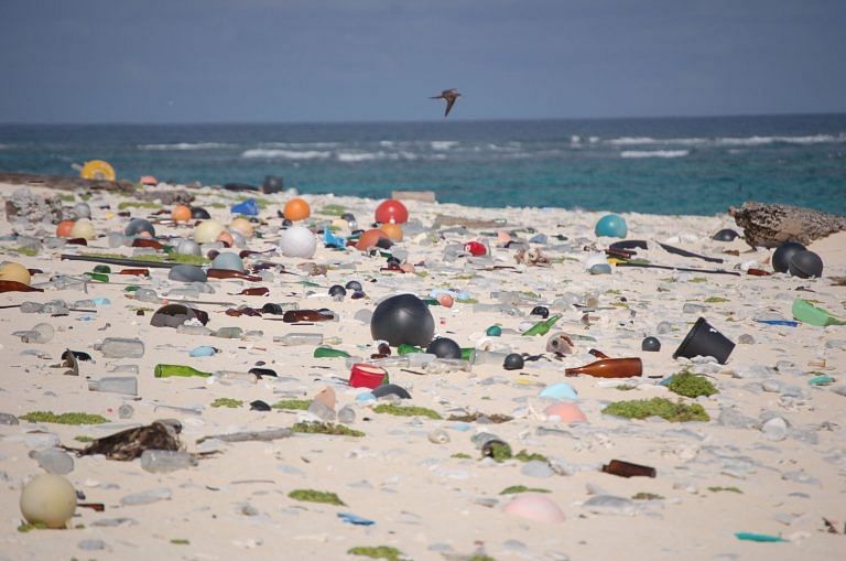 Plastic pollution is pushing marine life towards extinction, WWF study says
