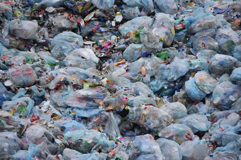 essay on biodegradable waste