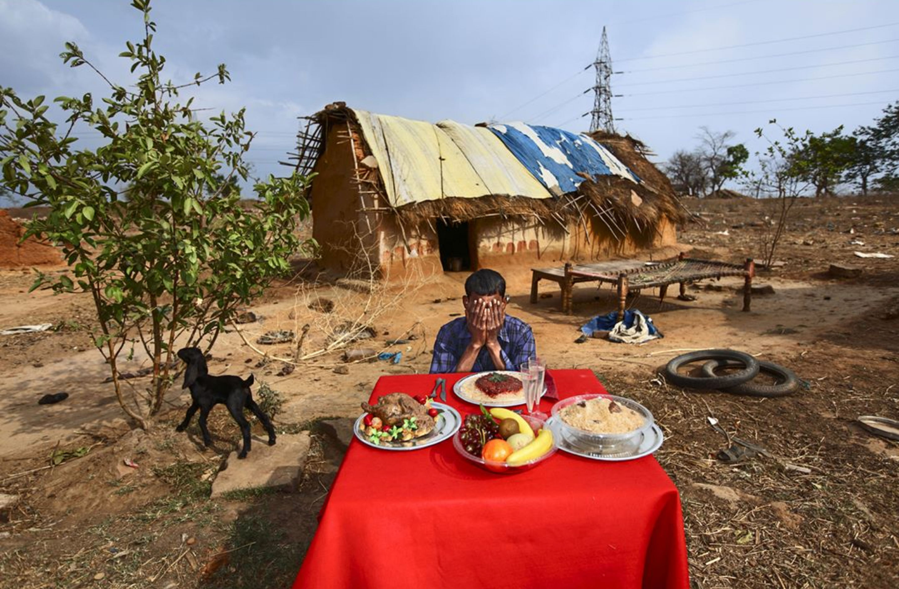 The project was born after reading the statistics of how much food is thrown away in the West | worldpressphoto/ Instagram
