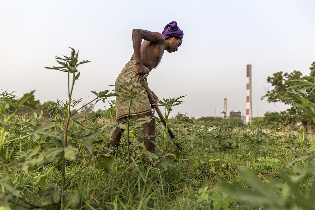 A farmer labors on a field in Bana village in the district of Latehar, Jharkhand | PTI