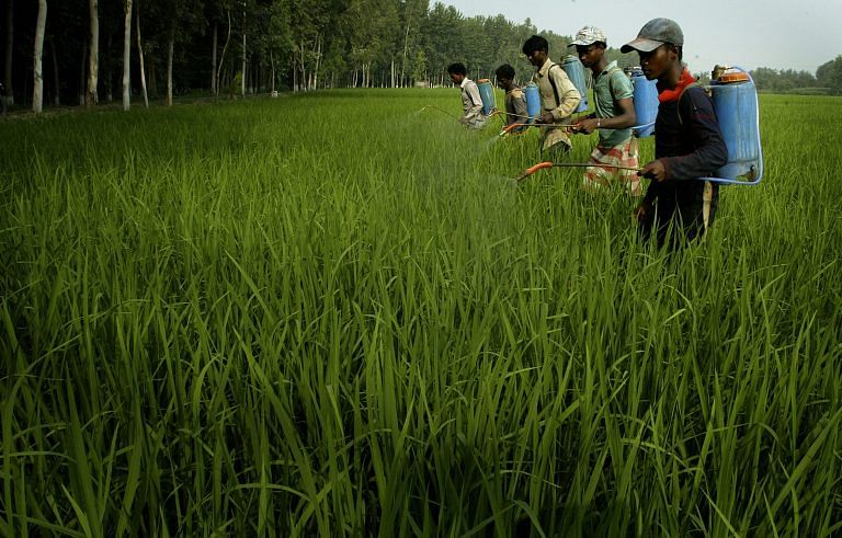 Game-changing Green Revolution may have led to Congress party’s decline in India