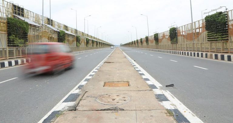 Choking Delhi is growing new lungs on its walls. And they look good too