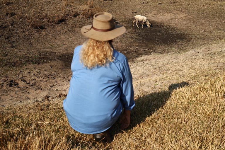 Drought-hit Australian farmers forced to slaughter livestock