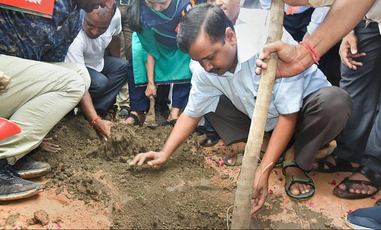 Kejriwal may be planting trees, but his own govt department wants permission to cut them