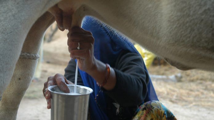 Dairy farmer
