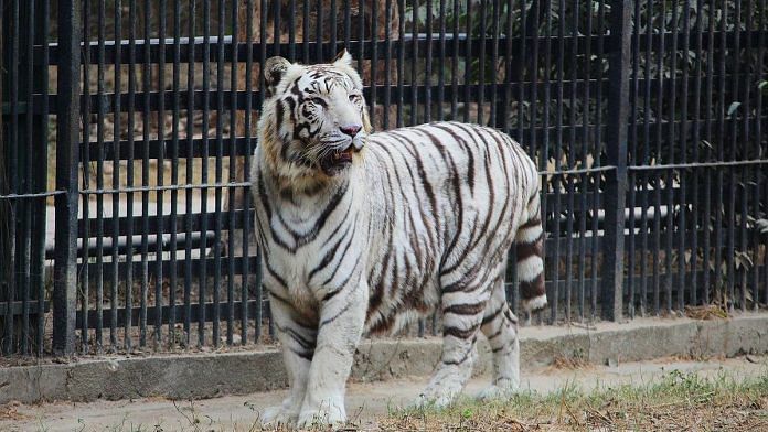 Delhi zoo