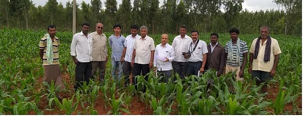 University of Agricultural Sciences, Bengaluru team in the field | India Science Wire
